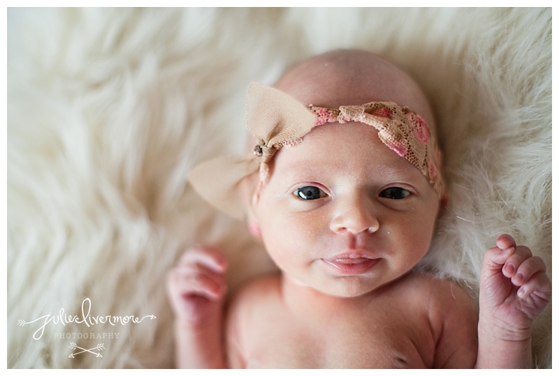newborn photographer fort collins
