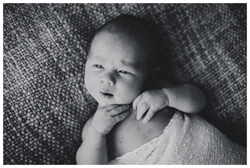 Fort Collins, CO newborn photographers