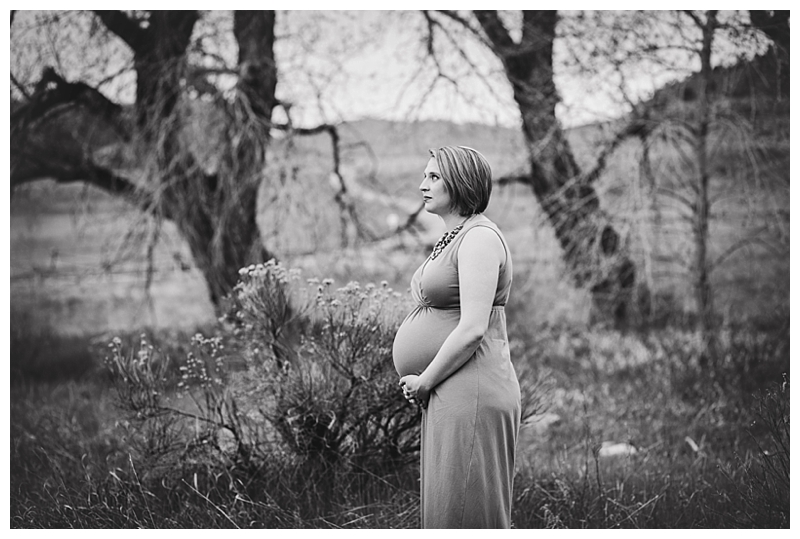 Fort Collins Maternity Photographers