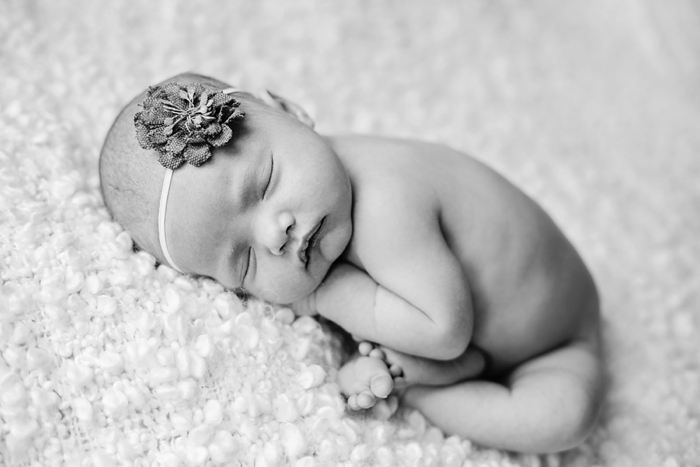 Westminster Colorado Newborn Photographer 